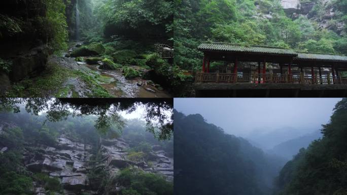 雅安碧峰峡峡谷风景