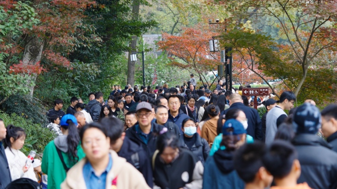 岳麓山赏秋游客+已调色