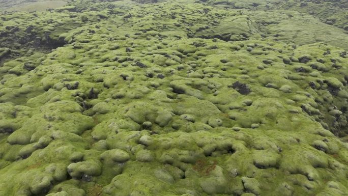 冰岛埃尔德劳恩熔岩场的鸟瞰图，无人机在苔藓状的地质熔岩流和枕头上飞行