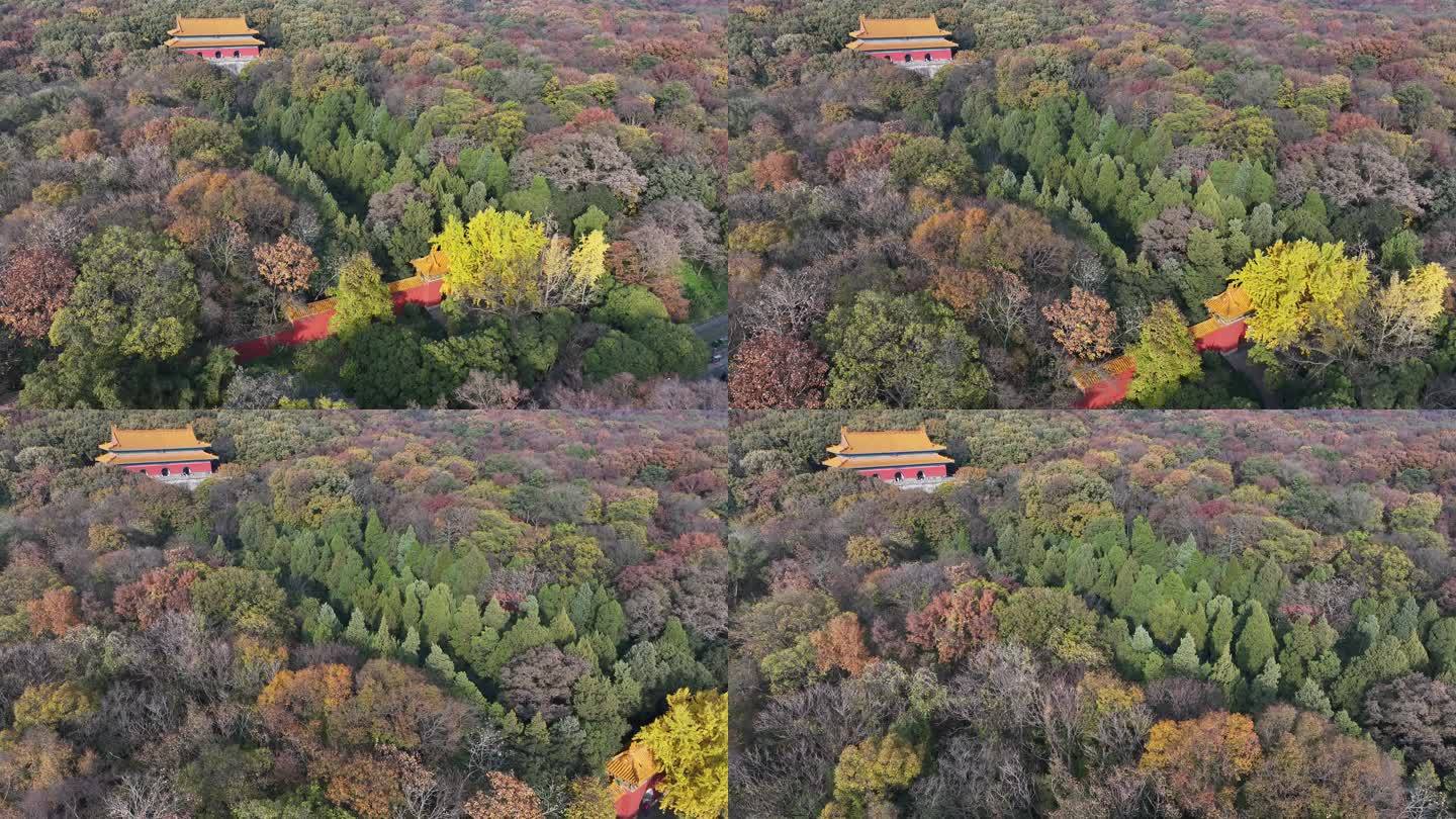 南京明孝陵秋景航拍