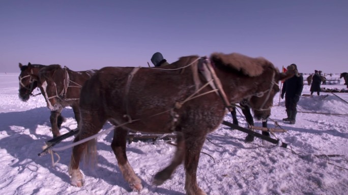 查干湖冬捕凿冰准备工作 马转圈破冰