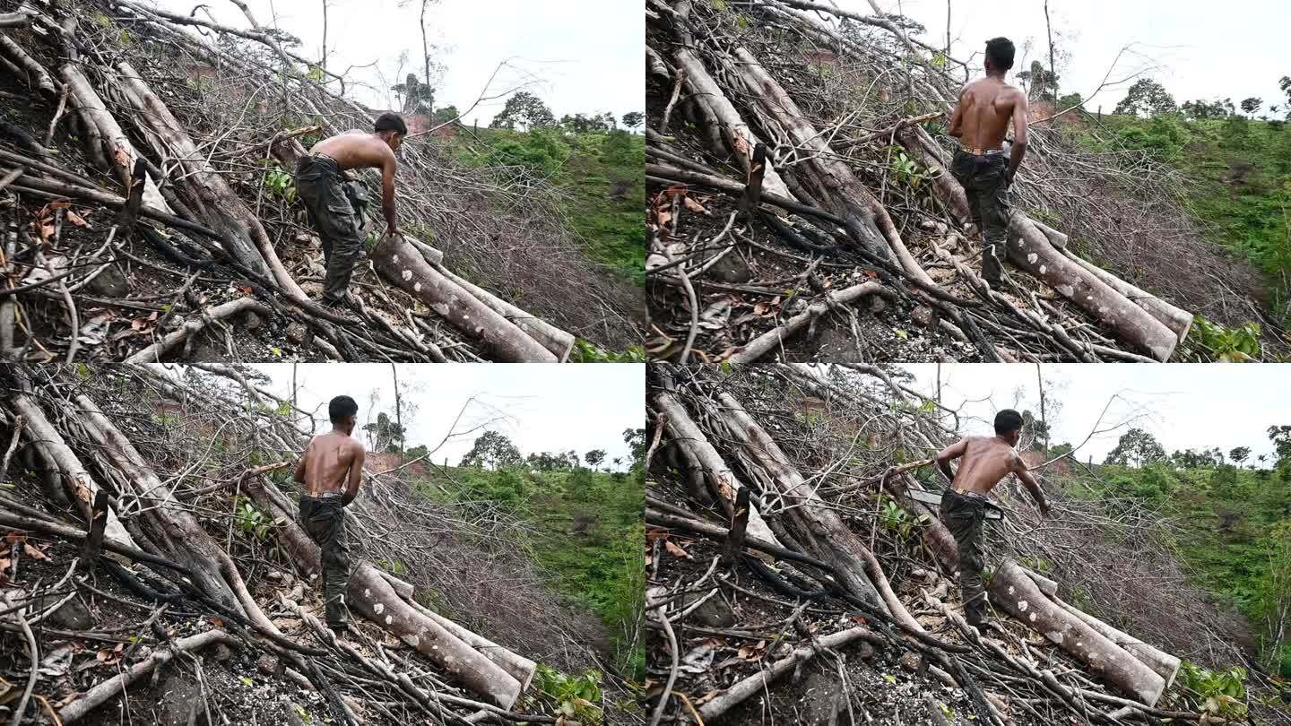 男子清理土地与电锯-库存视频