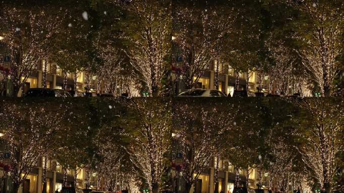 日本，东京:圣诞彩灯在丸内地区亮起。