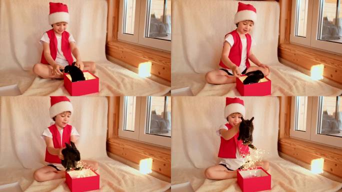 穿着圣诞老人服装的小男孩打开装有黑兔子的礼盒，高兴极了。童年与宠物相爱。幸福。圣诞快乐。兔是中国农历