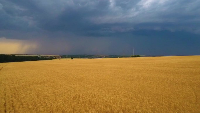 远处的麦田地平线上突然下起了大雨