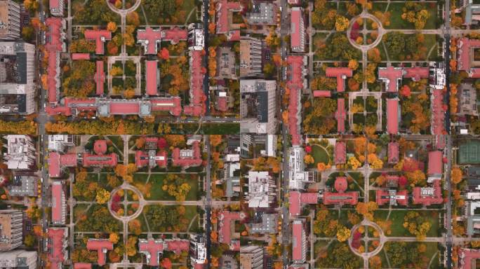 芝加哥大学鸟瞰图，俯瞰秋叶