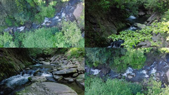4K 大自然、小溪水、森林水源、溪流风景