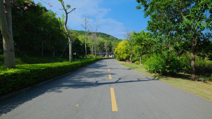 唯美乡村公路道路县道