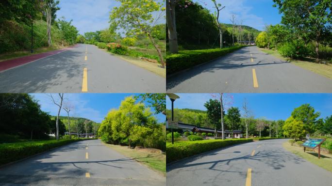 唯美乡村公路道路县道