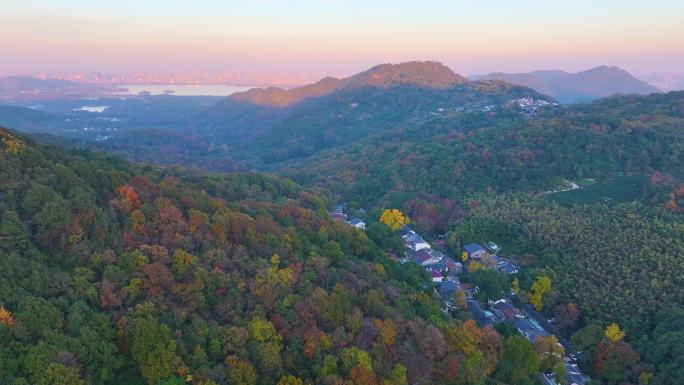 唯美杭州西湖龙井茶文化景区航拍茶园地茶叶