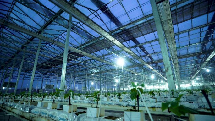 货物分拣 智能分类 物流仓 机器人