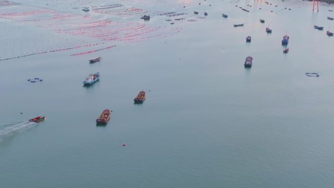 大连长海县海产品养殖基地航拍