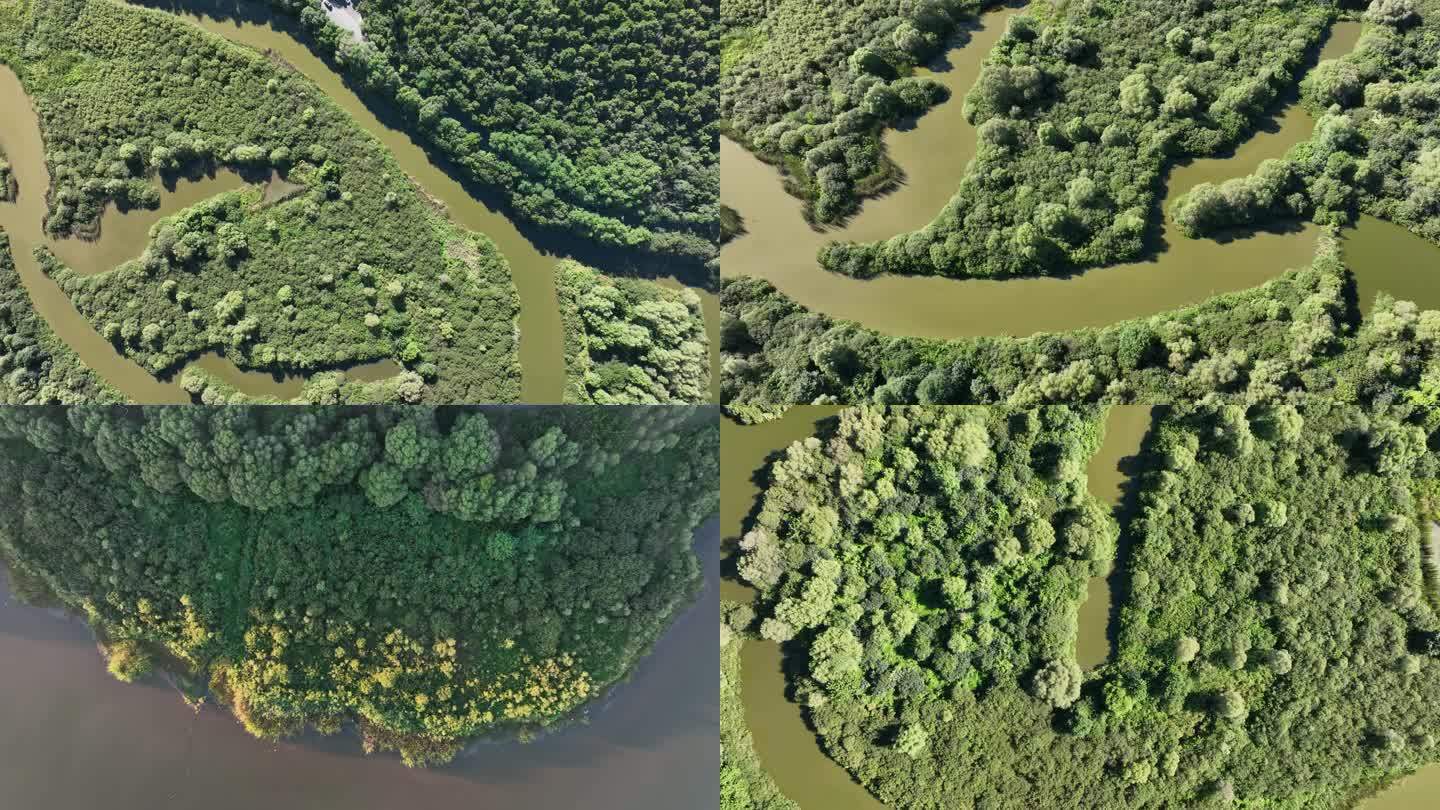 4K高清生态湿地湖水绿色空镜头合集