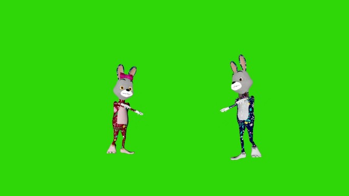 复活节夫妇兔子跳舞，循环，绿屏铬