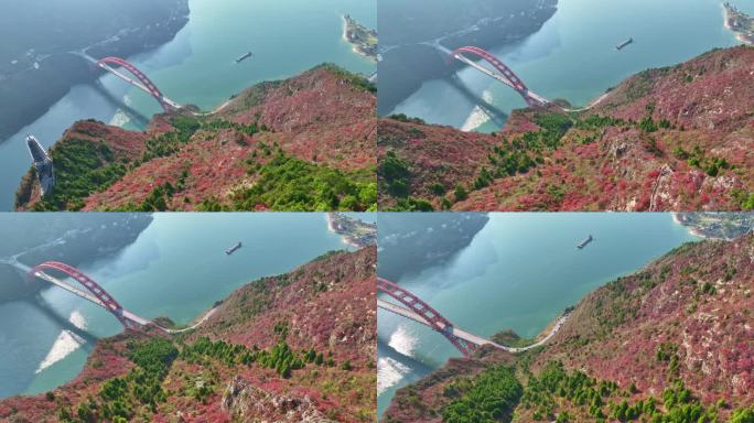 三峡红叶