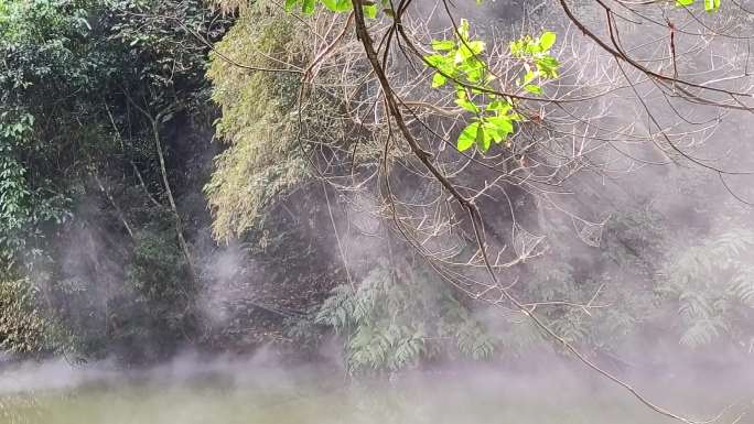 林间山谷晨雾静谧幽静生态绿色晨雾湖泊绿水