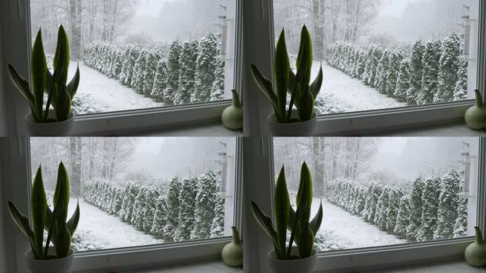 全窗景观与外面下雪的冬天。小城市。村庄。观察季节变化的反思时间。