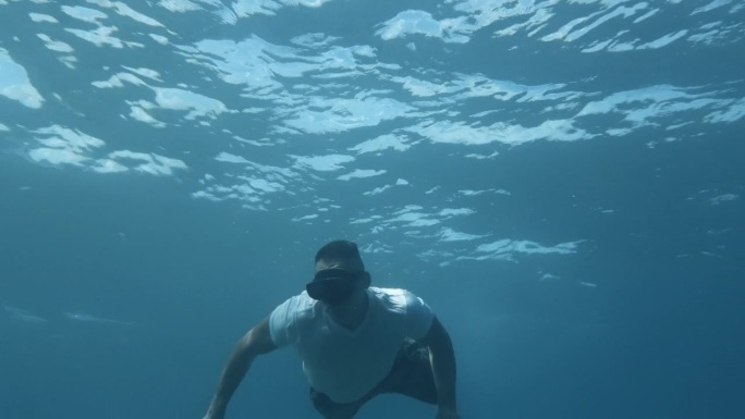 海豹突击队在海洋里