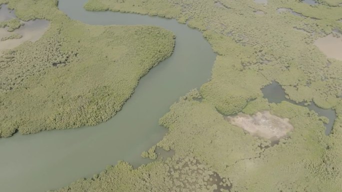 缓慢的空中飞行的甘比河流经冈比亚的水森林，显示班珠尔镇