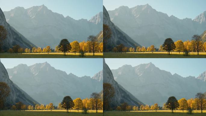 巴伐利亚阿尔卑斯山谷里秋天的枫树