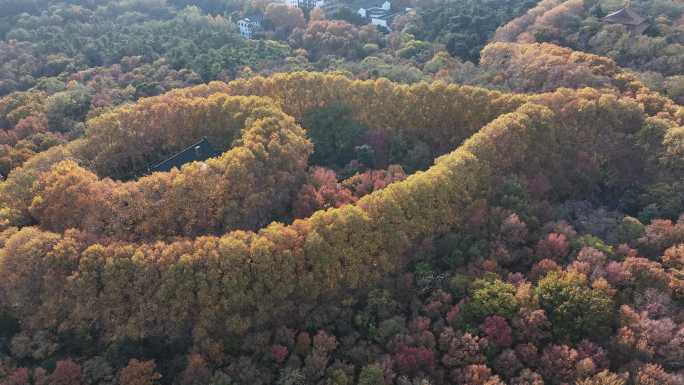 南京美龄宫秋景航拍