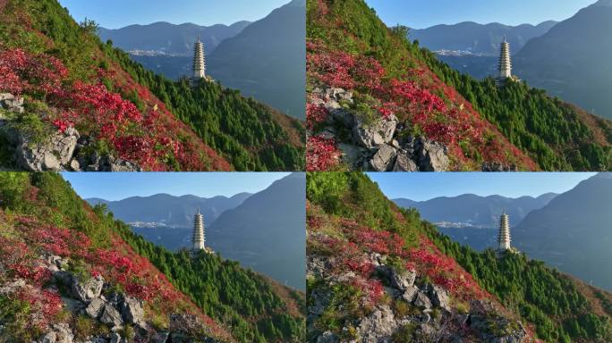 三峡红叶