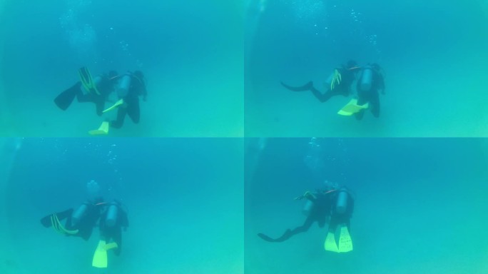 马来西亚仙本那海里浮潜