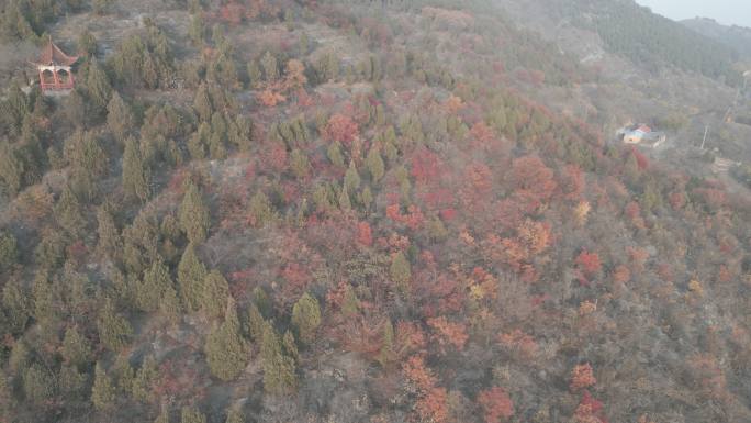 【未调色】山东枣庄峄城仙人洞景区冬季美景