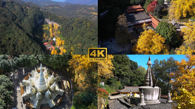 白岩寺 银杏树 彩林 大邑好风景 4K