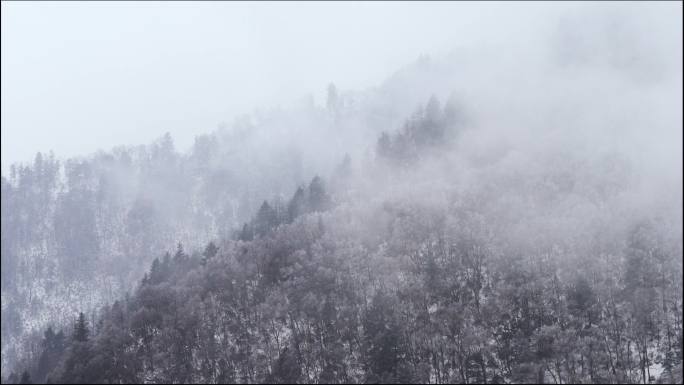 陕西秦岭朝阳沟雪景