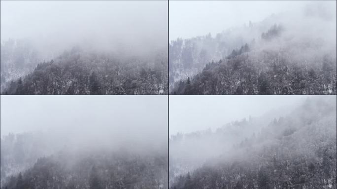 陕西秦岭朝阳沟雪景