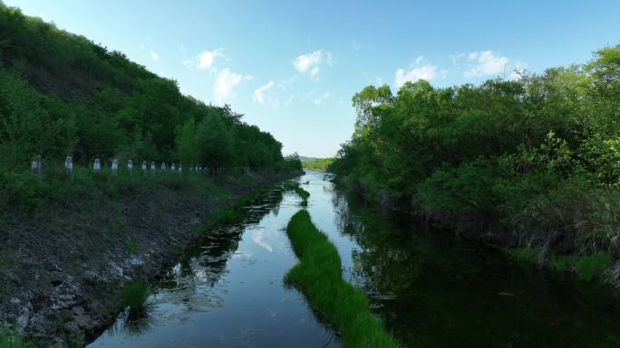 大兴安岭河流湿地夏日风景