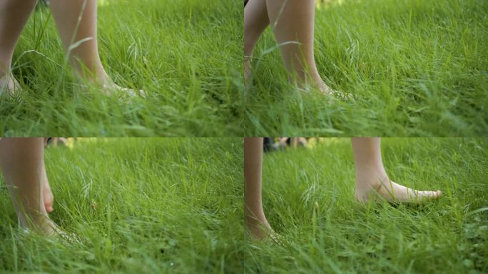夏天，少女光着脚走在森林的草地上。女人的脚走在花园里新鲜潮湿的草地上慢动作。赤脚和健康护理脚。治疗足