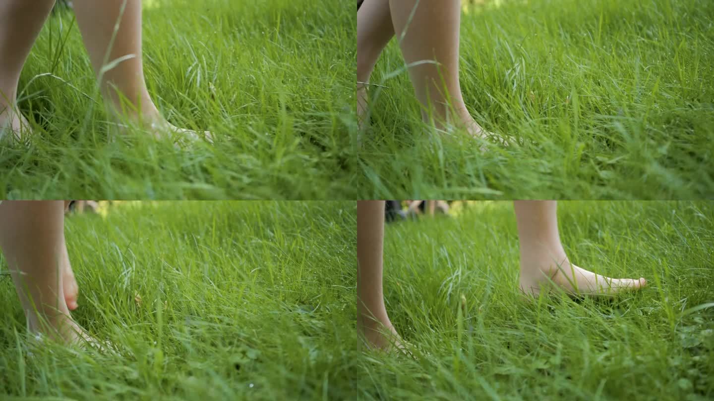 夏天，少女光着脚走在森林的草地上。女人的脚走在花园里新鲜潮湿的草地上慢动作。赤脚和健康护理脚。治疗足