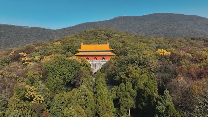 明孝陵 秋景 红枫 红墙 钟山  南京