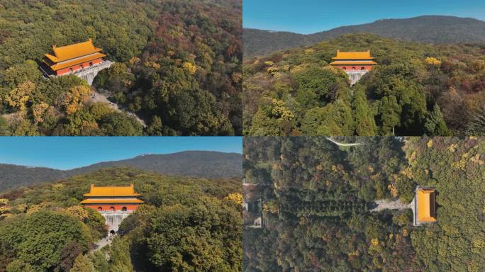 明孝陵 秋景 红枫 红墙 钟山  南京