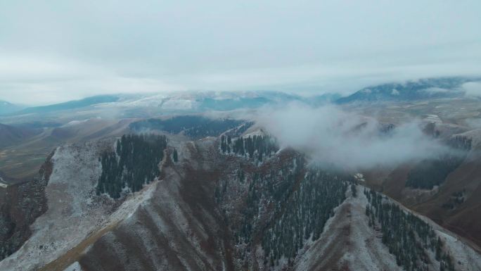 青海 祁连县 秋季雪景