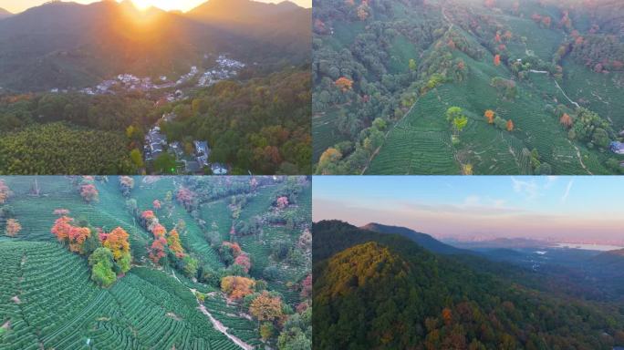 唯美杭州西湖龙井茶文化景区航拍茶园地茶叶