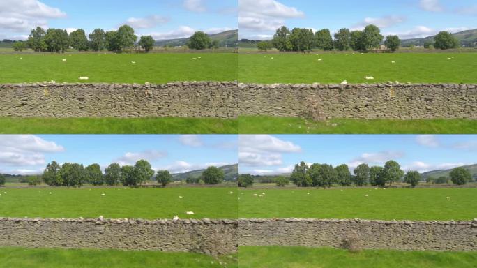 在一个阳光明媚的日子里，在英国北约克郡塞特村附近的乡村，无人机的横向镜头平行于一块羊地的干石墙。