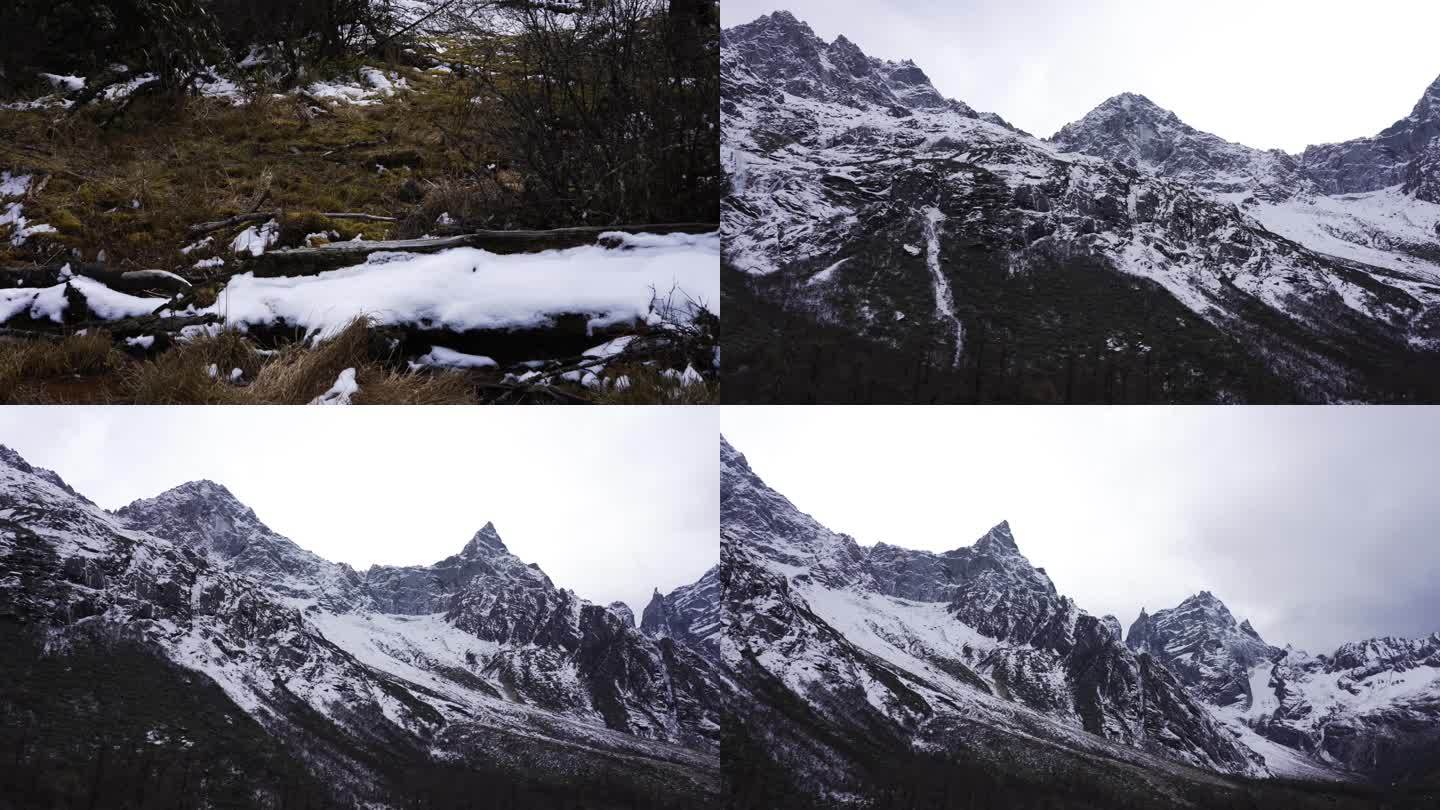 雪山草地