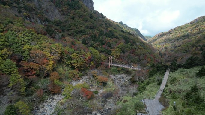 汉拿山国立公园悬索桥和徒步路线的无人机画面