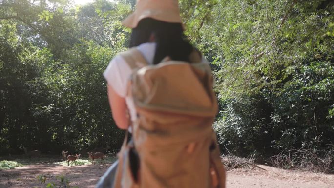 徒步旅行者有吸引力的快乐的年轻女孩背着背包在山上徒步旅行，周围都是令人惊叹的风景