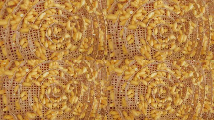 热带蚕丝或金茧在圆扁编织竹盘中，在蚕养殖场进行天然金丝纺织加工，经认证为最高品质的蚕丝，头顶旋转拍摄
