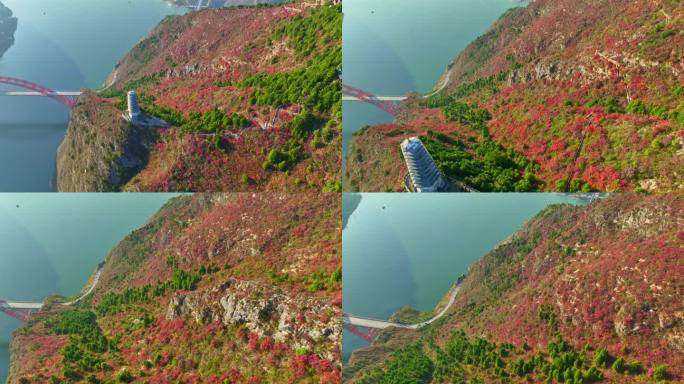 三峡红叶