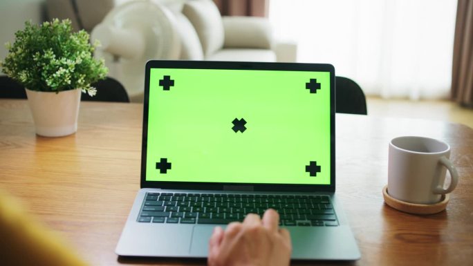 女人在客厅里使用绿屏笔记本电脑