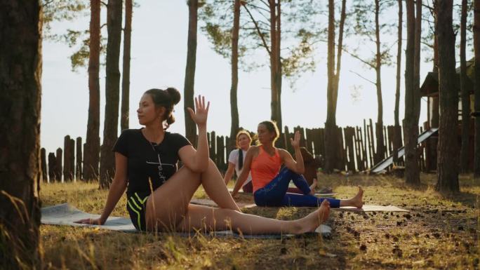 夏季瑜伽营，一群女性在大自然中一起训练和伸展