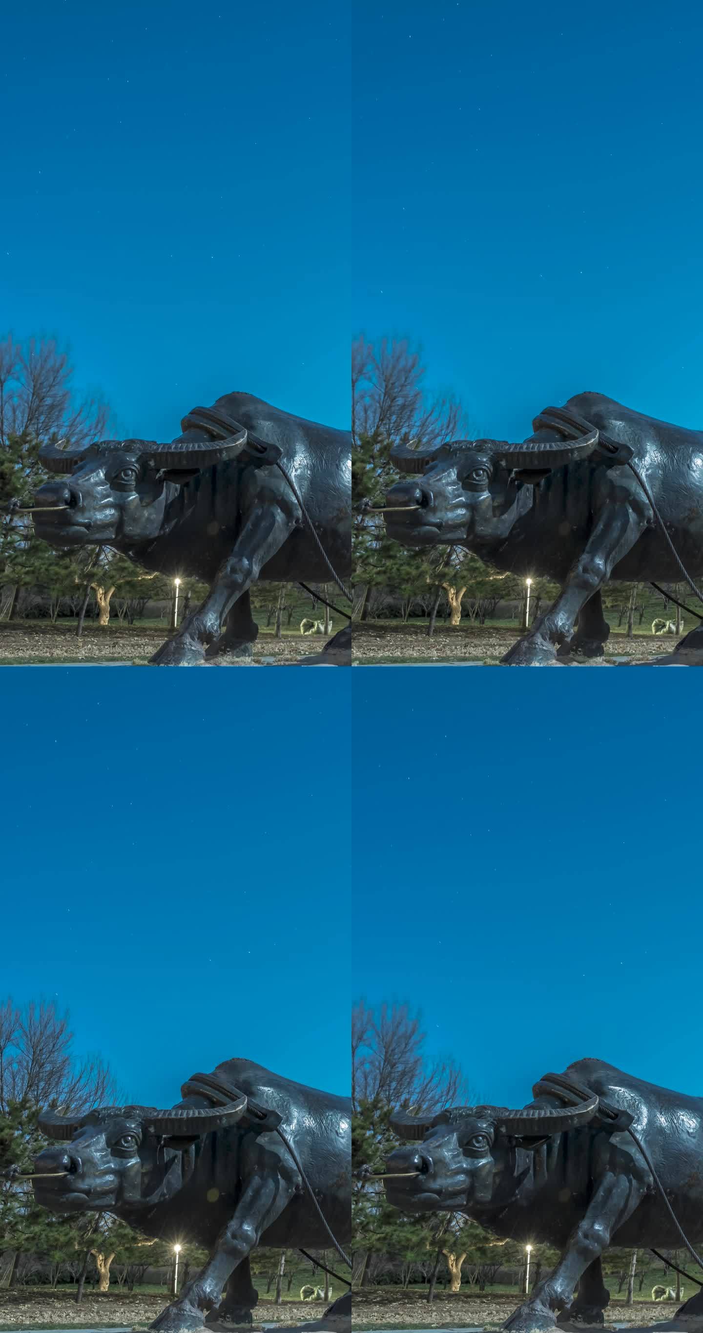 铁牛雕塑星空星轨延时摄影竖版