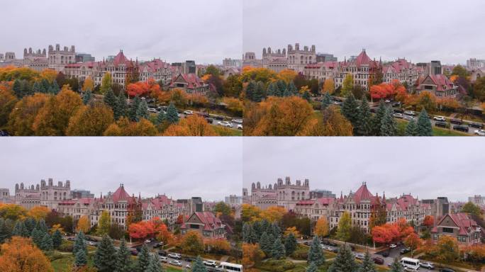 芝加哥大学秋季鸟瞰图