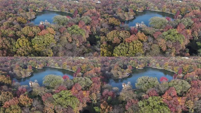 秋景湖泊航拍