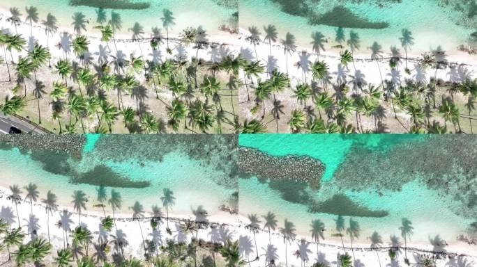 Moorea，法属波利尼西亚-沙滩上棕榈树投下的阴影俯视视图-航拍